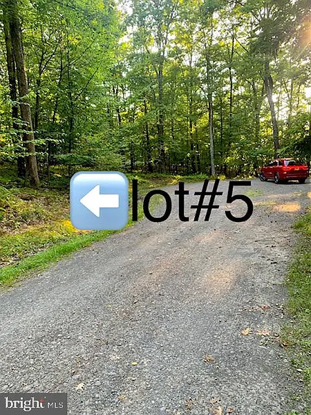 Thumbnail 11