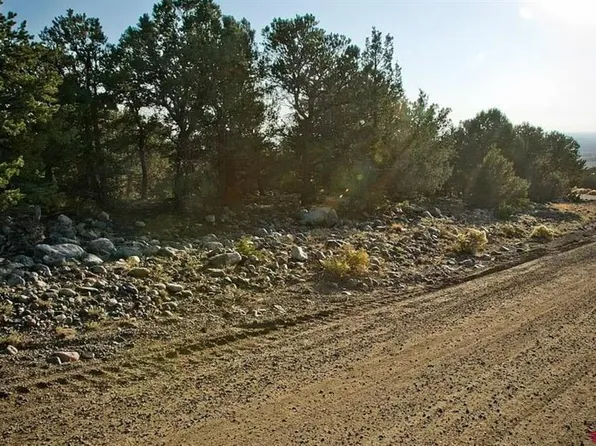 2771 N Carefree Way, Crestone, CO 81131