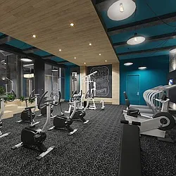 Rented by Fiddler Realty