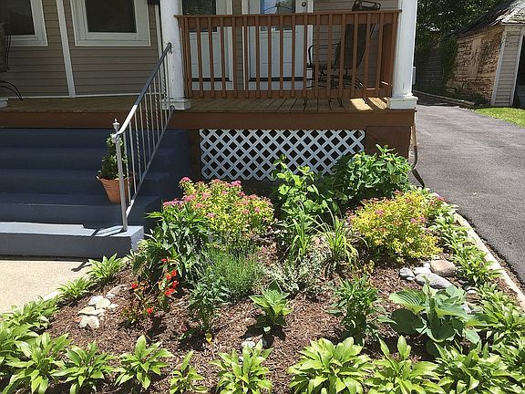 Gardens and driveway