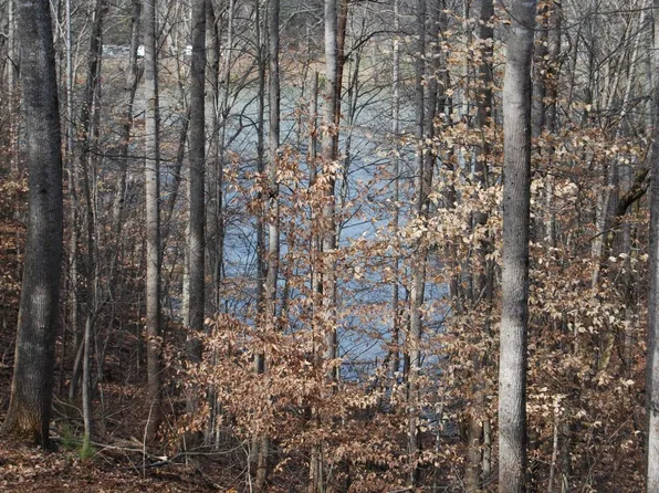 10 Lake Knoll Rd, Union Hall, VA 24176