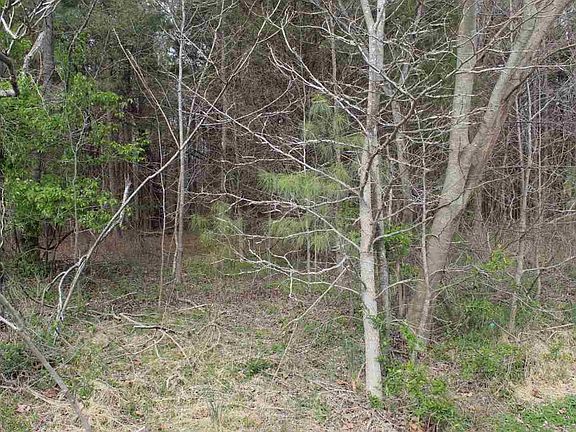 3rd image of 8 Windy Creek Cir Lot 8