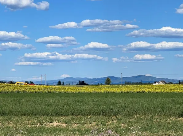 343XX N Spotted Rd, Deer Park, WA 99006