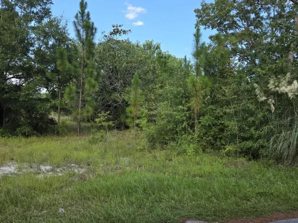 L-22 Frink Lake Drive, Boiling Spring Lakes, NC 28461