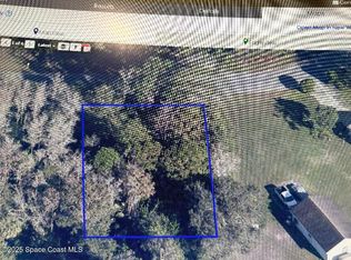 906 Cotorro Rd SE, Palm Bay, FL 32909