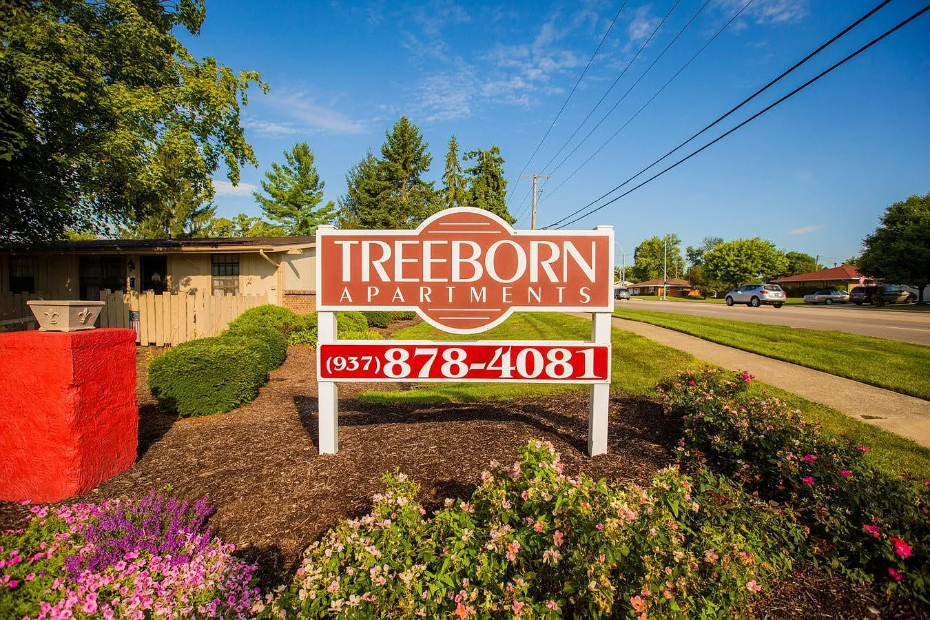 Treeborn Apartments — Photo 2