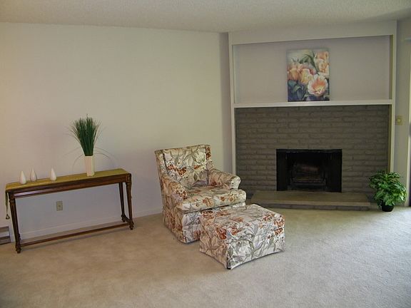 Wood burning fireplace