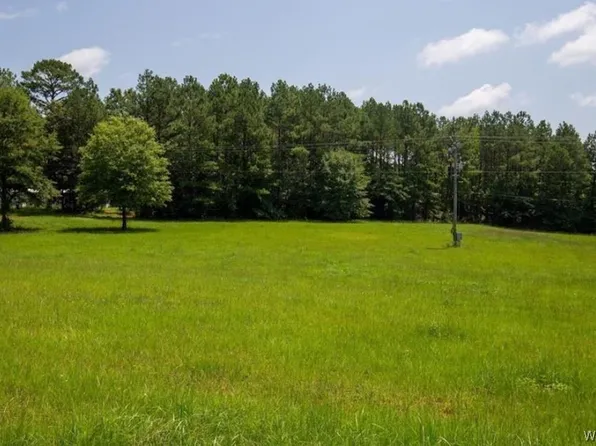 19601 Gorgas Rd, Northport, AL 35475