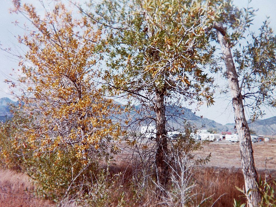 2nd image of 4000 N Highway 93