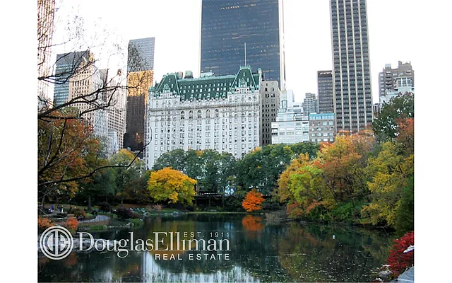 Rented by Douglas Elliman | media 29