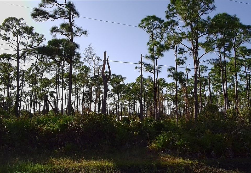 2nd image of 7085 Kreamers Dr