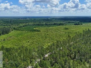 TRACT 2 Bennett Mill Pond Rd, Odum, GA 31555