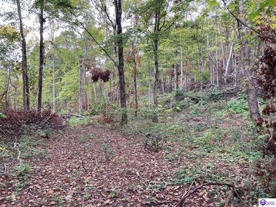 1633 Boone Hollow Rd, Battletown, KY, 40104