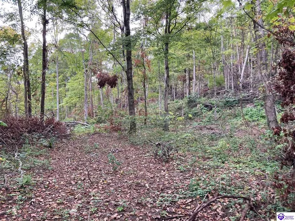 1633 Boone Hollow Rd, Battletown, KY 40104