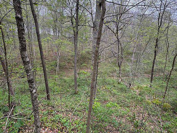 4th image of TRACT 5 E Pine Rd