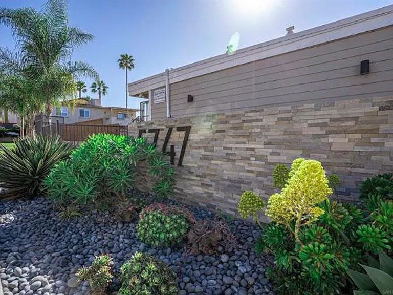 The Palms — Photo 2