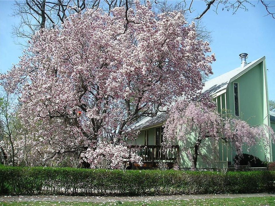 1st image of 37 Thompson Avenue