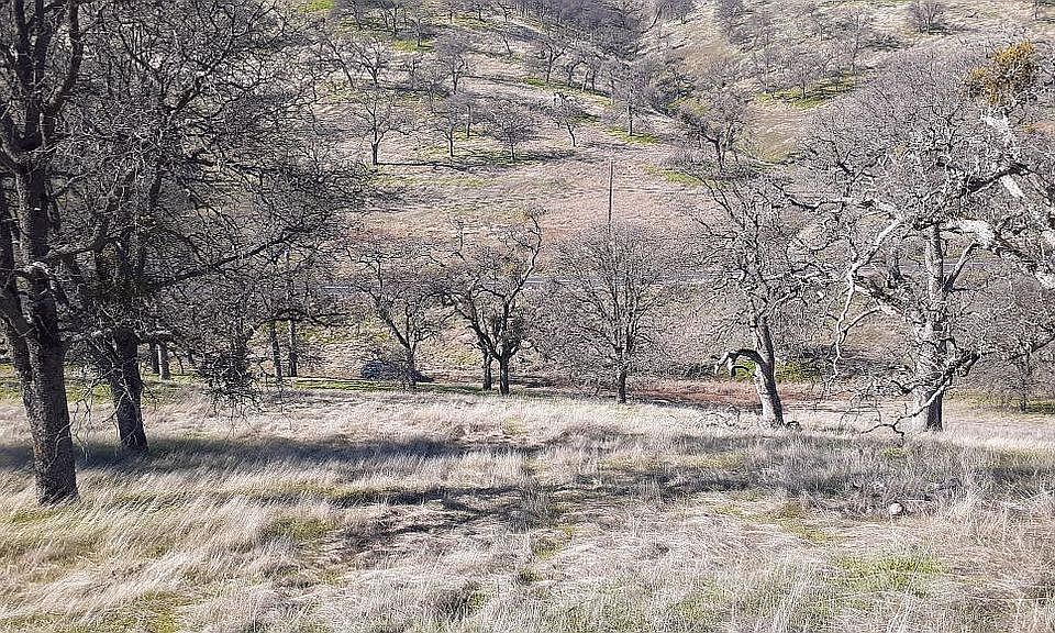 1st image of 10002 Banderilla Dr