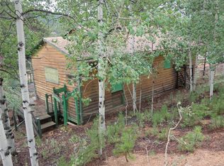132 Jones Rd, Bailey, CO 80421
