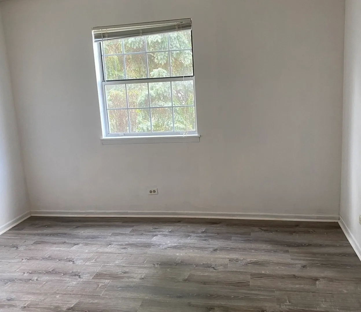 1 bed, 800 sqft, $1,710 — Photo 4