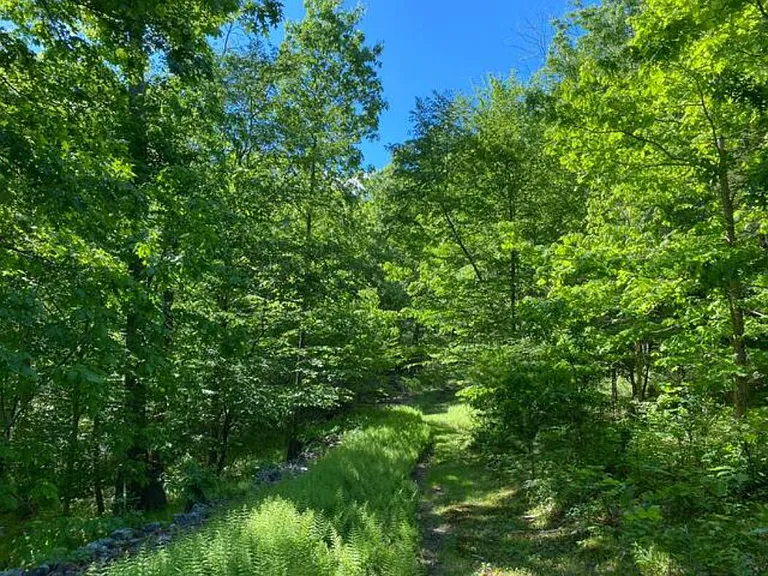 Lower trail surrounded by ferns and stone walls