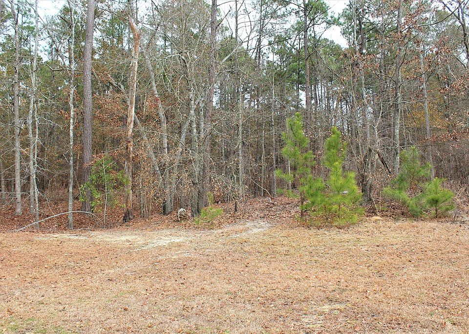 2nd image of 147 Spring Stone Ct
