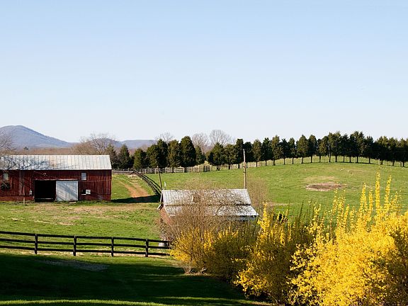 Pasture view
