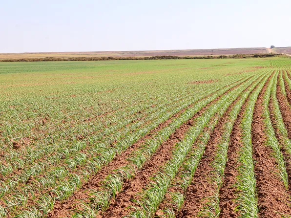 918 NW 30th Rd, Attica, KS 67009
