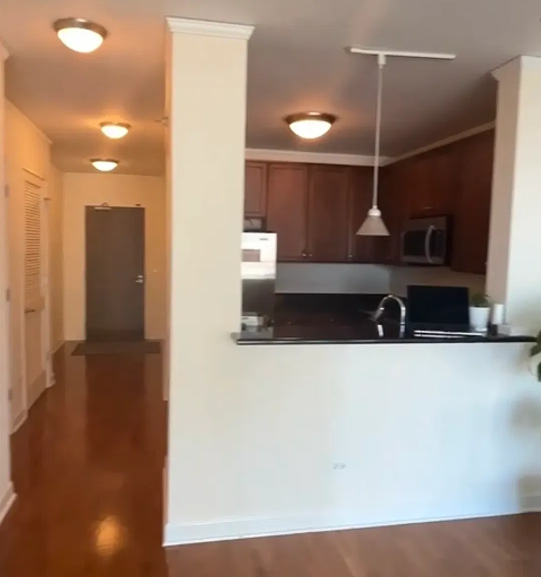 2 bed, 1200 sqft, $4,500 — Photo 4