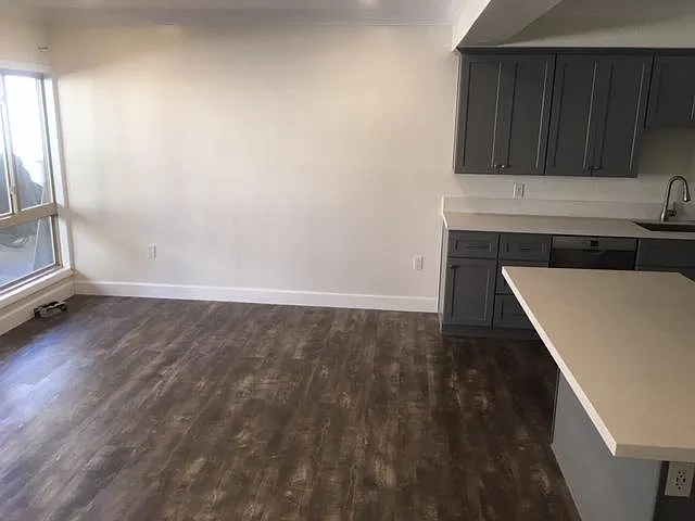 1 bed, 620 sqft, $3,450 — Photo 4