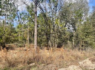 LOT 8 SE 73rd Pl LOT 8, Morriston, FL 32668