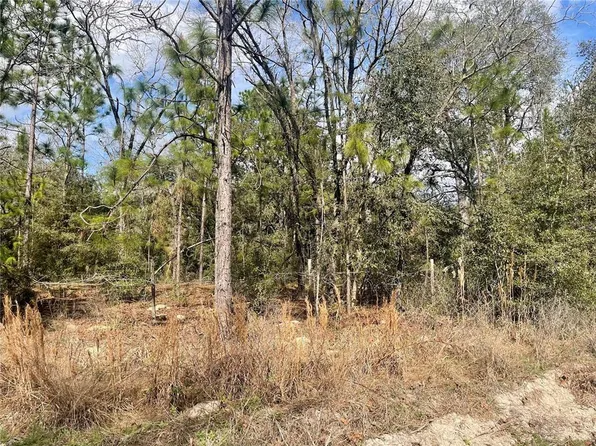 LOT 8 SE 73rd Pl Lot 8, Morriston, FL 32668