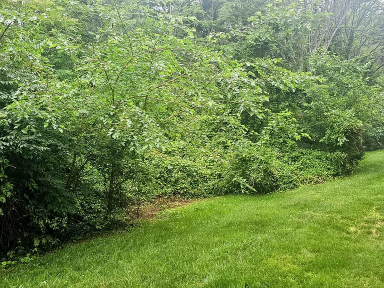 6834B Brindle Heath Way #234 — Photo 36
