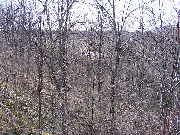 5th image of Little Bow Road