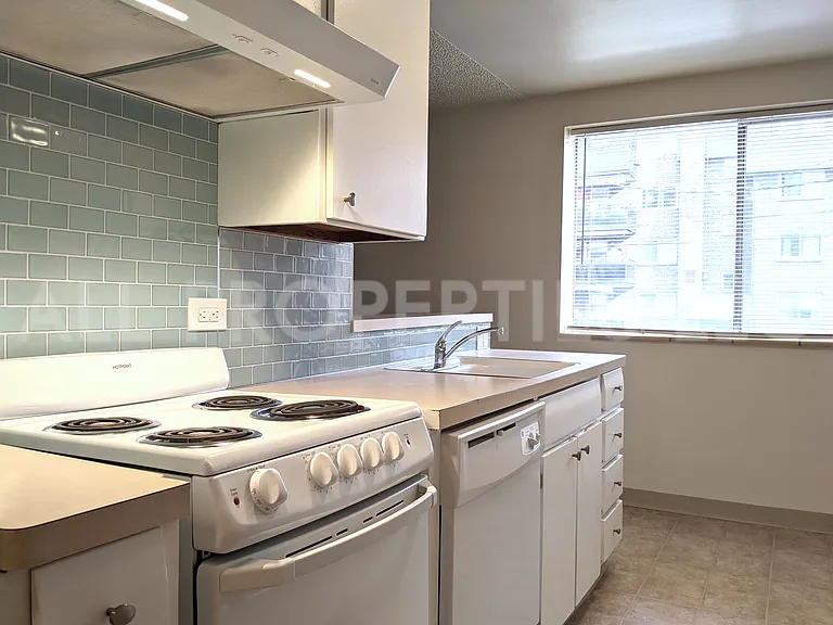 1200 N Emerson St #204 — Photo 8