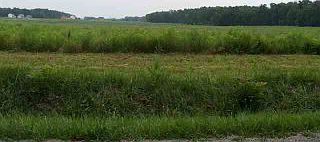 1st image of 0 Township Road 851
