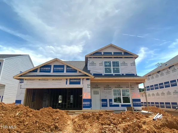 149 Wisteria Dr, Bluff City, TN 37618