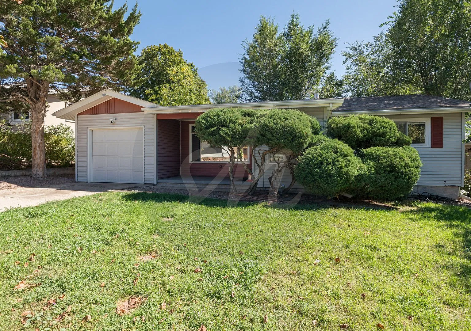 Charming Ranch on a Large Lot Near UCCS! — Photo 2