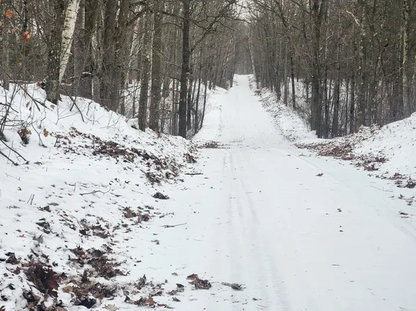 Roe Lake Rd, Rhinelander, WI 54501