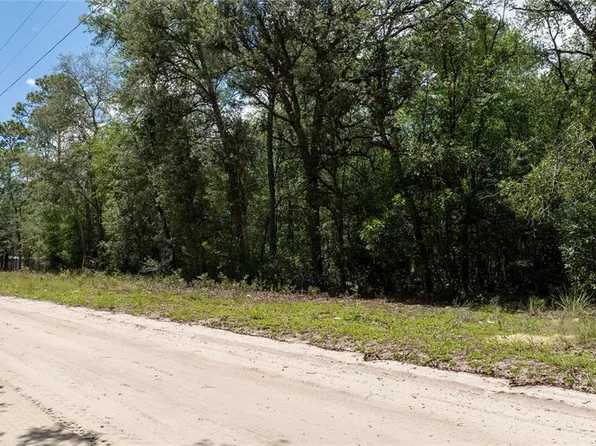 NE 71st St, Bronson, FL 32621