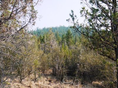 0 Ferguson Mountain Dr LOT 1600, Beatty, OR, 97621