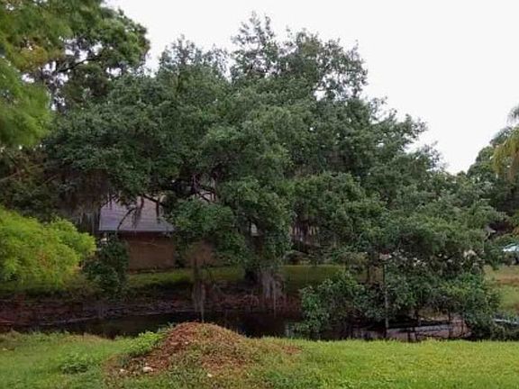 Property Side View