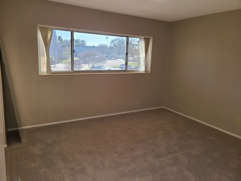 2402 Ecuadorian Way — Photo 8