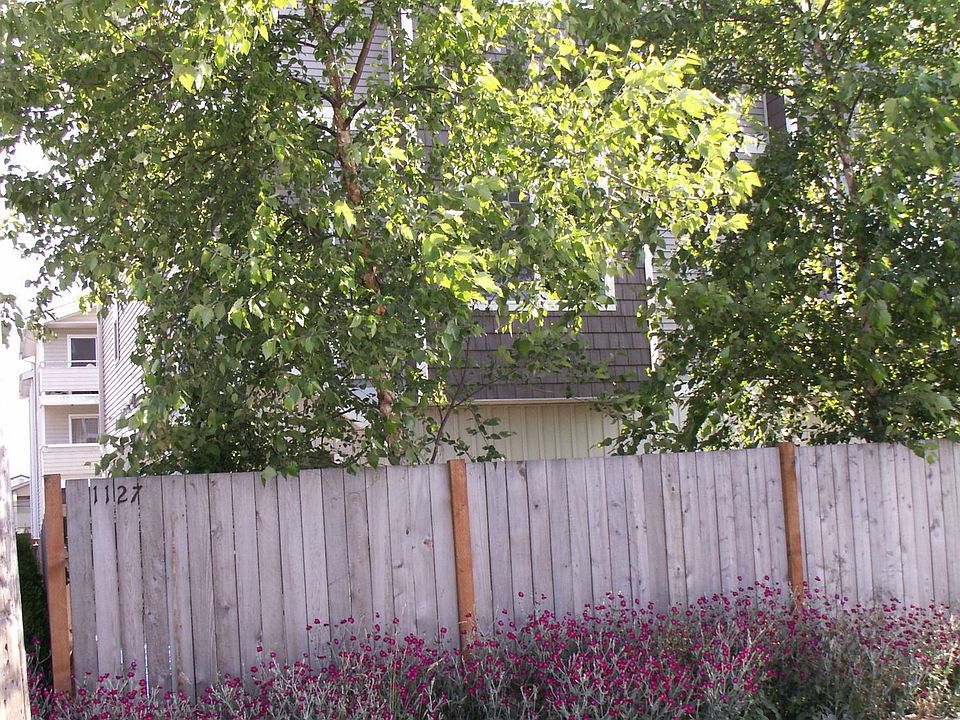 Street View 1 Trees for Privacy
