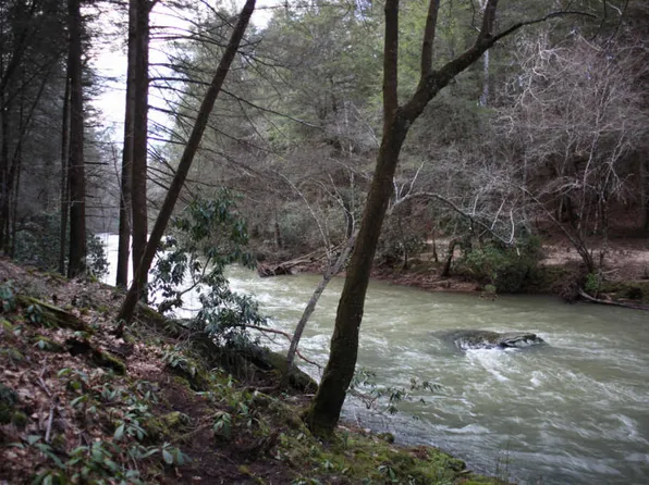 White Creek Loop, Deer Lodge, TN 37726