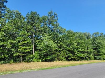 Wood Ln, Clinton, AR, 72031