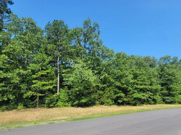 Wood Ln, Clinton, AR 72031