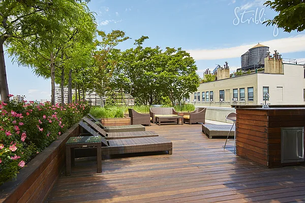 Rented by Stribling | media 47