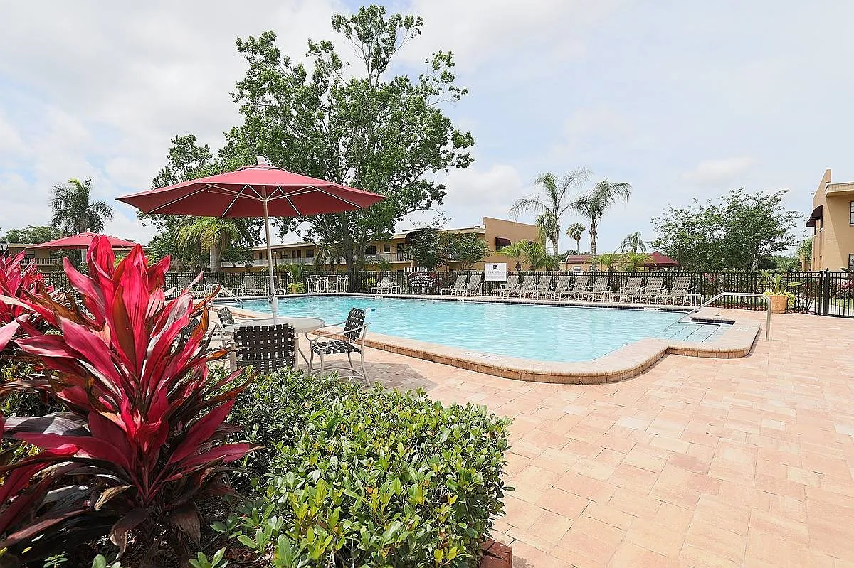 2037 Phillippe Parkway in Safety Harbor, FL 34695 — Photo 4