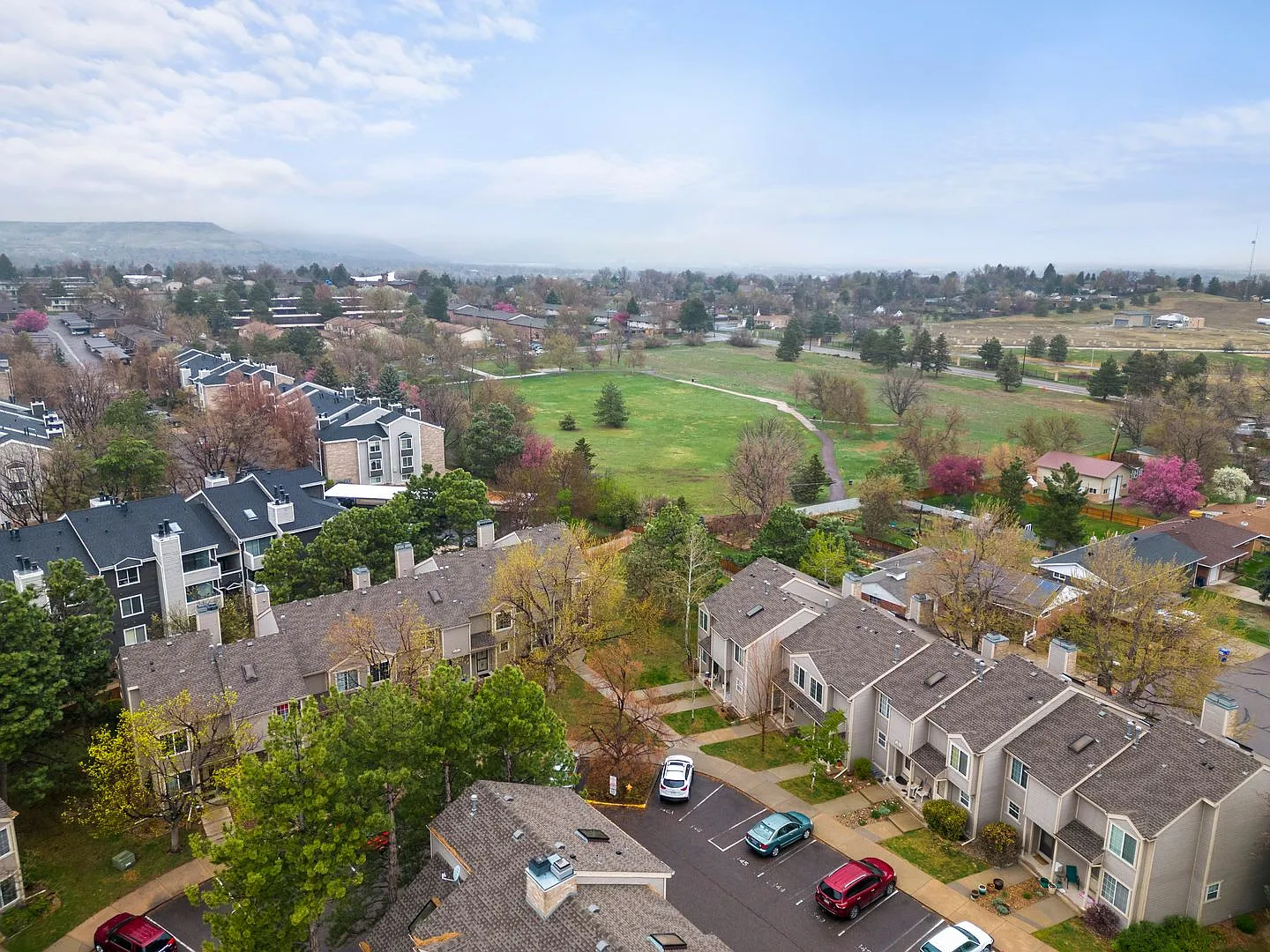 Newly Remodeled Home Backing to Quail Street Park — Photo 3